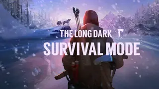 The Long Dark: Survival Mode