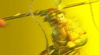 DYNASTY WARRIORS 3: Complete Edition Remastered Edition - PS5