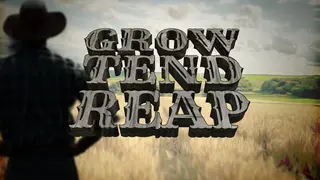 Grow/Tend/Reap