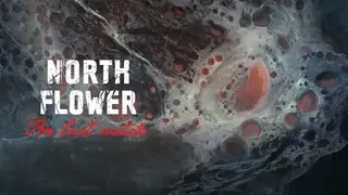 Northflower: The Last Watch