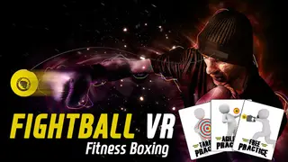 FIGHT BALL - BOXING VR