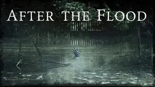 After the Flood