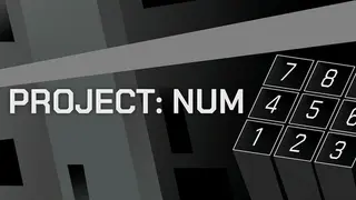 Project: Num