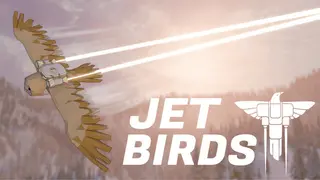 Jet Birds