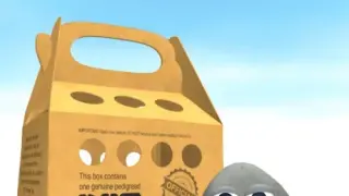 Pet Rock - Switch