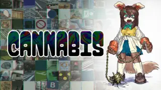 Cannabis