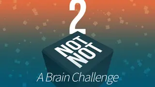 Not Not 2 - A Brain Challenge