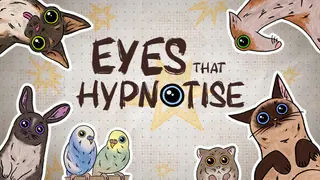 Eyes That Hypnotise
