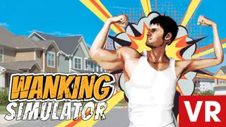 Wanking Simulator VR
