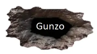 GUNZO!