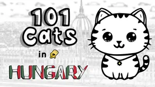101 Cats in Hungary
