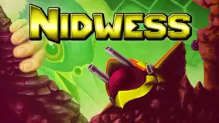 Nidwess