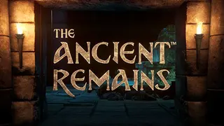 The Ancient Remains