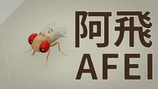 阿飛 AFEI