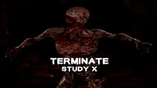 Terminate: Study X