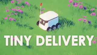 Tiny Delivery