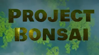 Project Bonsai