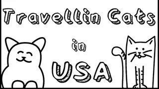 Travellin Cats in USA