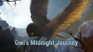 Owl's Midnight Journey
