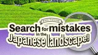 Train Your Brain! Spot the Difference with Japanese landscapes - Switch
