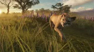 theHunter: Call of the Wild - Parque Fernando - Windows
