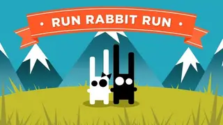 Run Rabbit Run