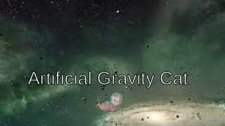 Artificial Gravity Cat