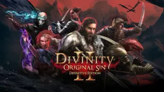 Divinity: Original Sin 2