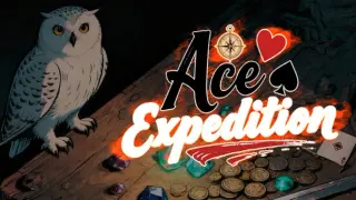 Ace Expedition ηηθΏεΎ
