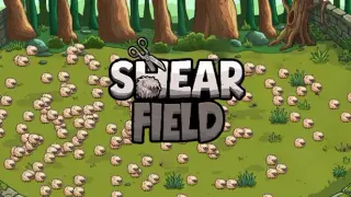 Shear Field