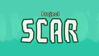 Project Scar