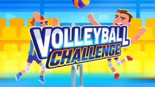 Volleyball Challenge - Switch