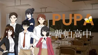 Pupa High School