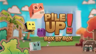 Pile Up! Box by Box