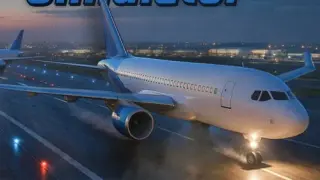 Plane Flight Simulator - Switch