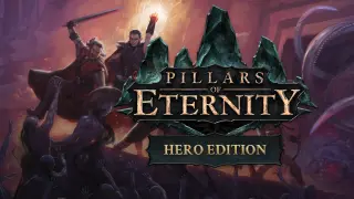 Pillars of Eternity: Hero