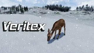 Veritex