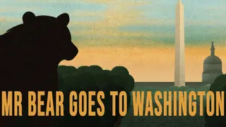 Mr Bear Goes to Washington
