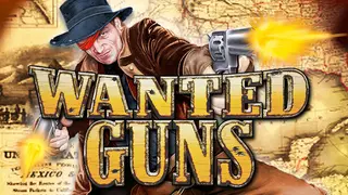 Wanted Guns