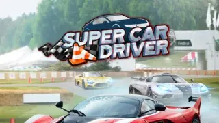 Super Car Driver - Switch