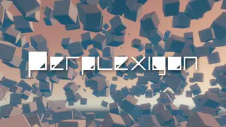 Perplexigon