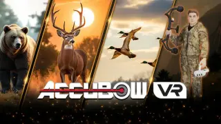 AccuBow VR