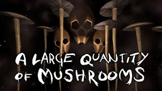 A Large Quantity Of Mushrooms