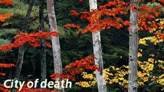 City of death