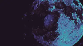 Despot's Game - Challenges (Xbox One & Series)