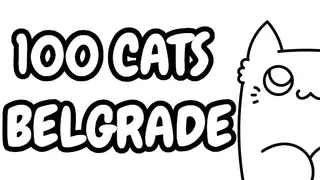 100 Cats Belgrade