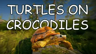 Turtles on Crocodiles