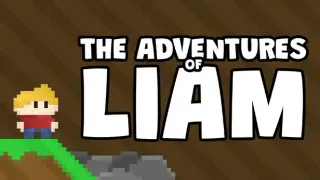 The Adventures of Liam