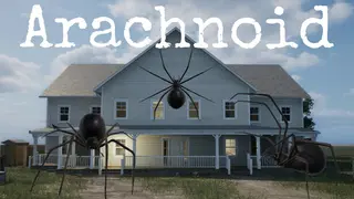 Arachnoid