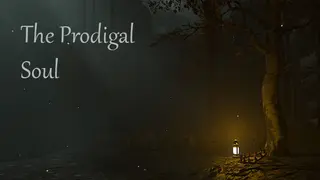 The Prodigal Soul